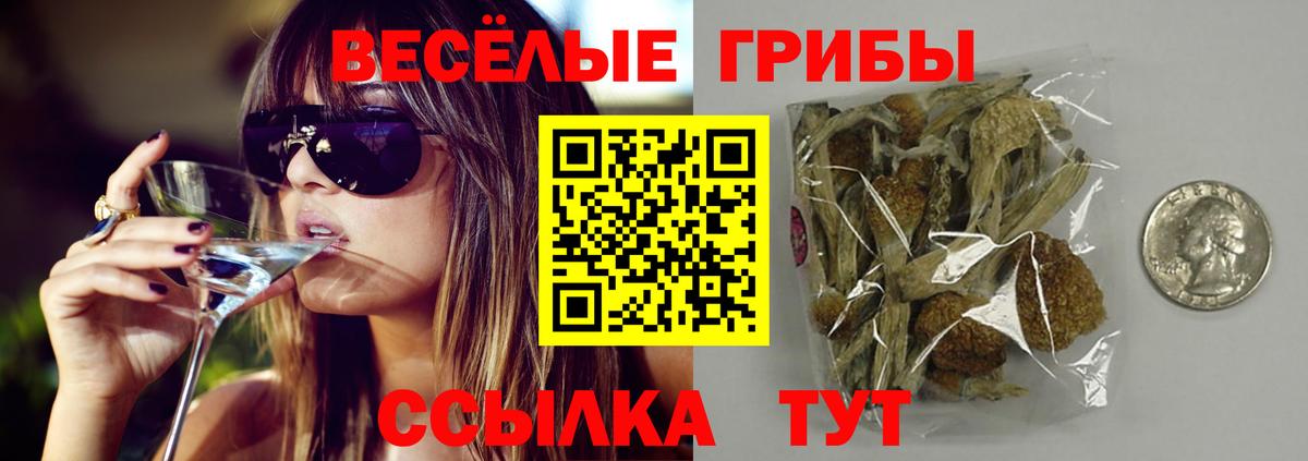 как найти закладки  Вход с VPN  Комсомольск-на-Амуре  Галлюциногенные грибы ЛСД  Галлюциногенные грибы Psilocybe 